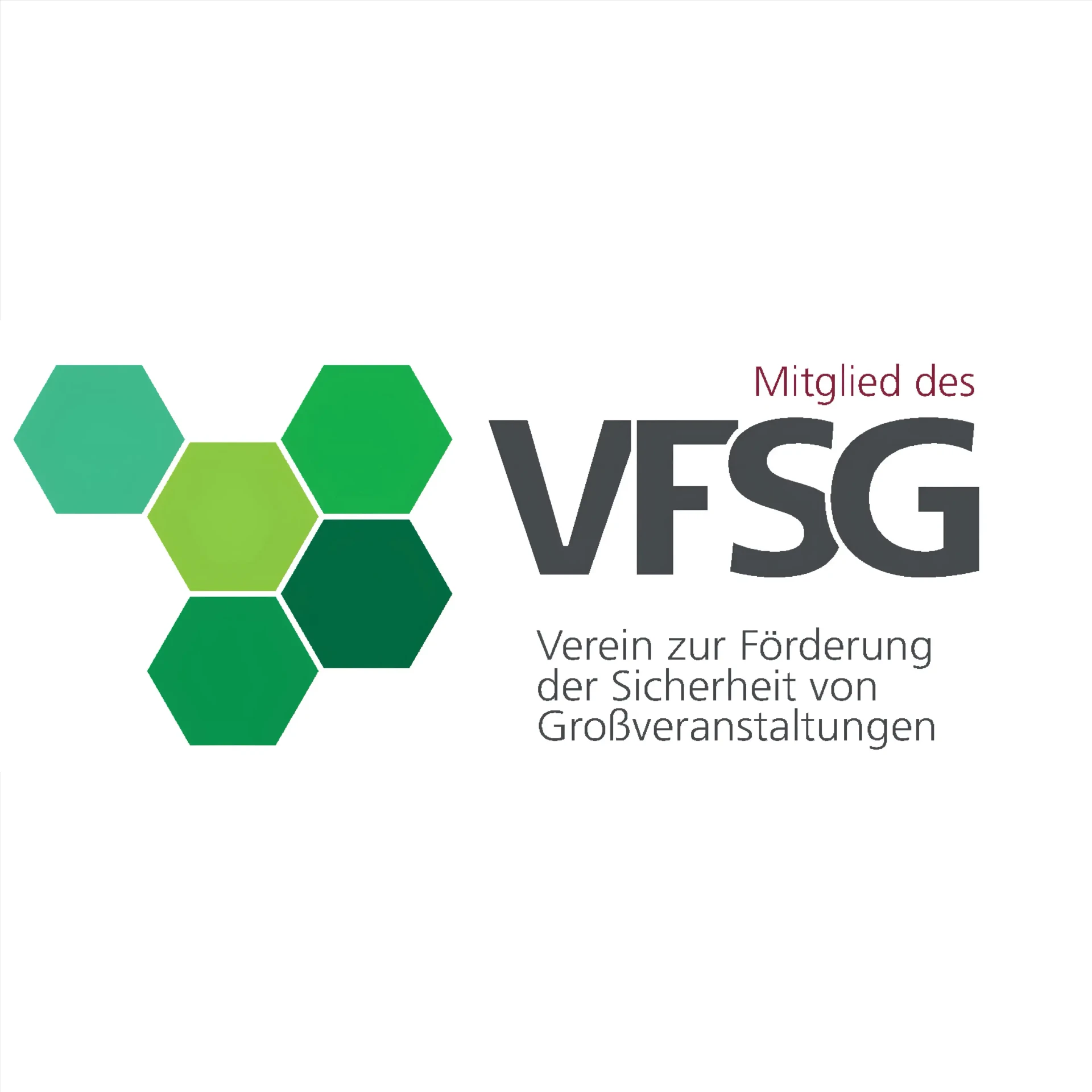 VFSG Verein zur Förderung der Sicherheit von Großveranstaltungen Mitgliedschaft